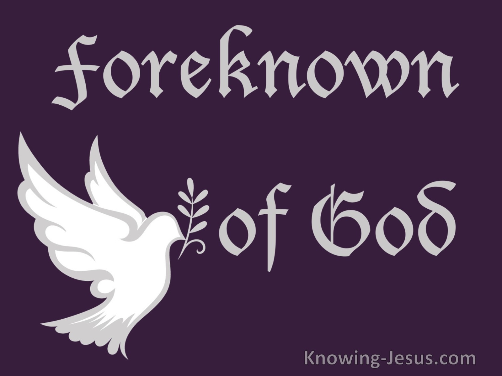 Romans 8:29 Foreknown of God (devotional)12-01 (white)